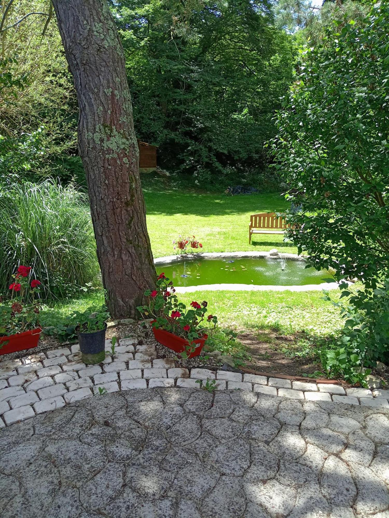 Chambres d'hotes du Moulin Saint-Julien-sur-Cher Extérieur photo